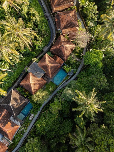 Natural landscape, Bird's eye view, Pool view, Swimming pool