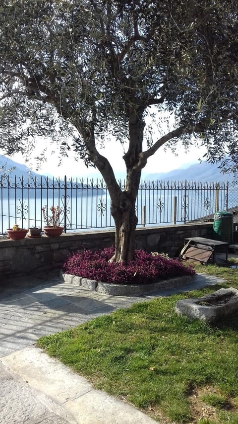 Patio, Garden, Balcony/Terrace