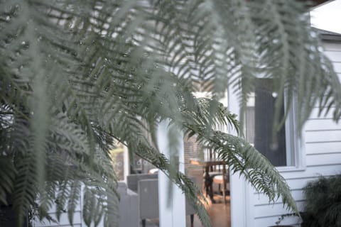 Garden view, Inner courtyard view, Inner courtyard view