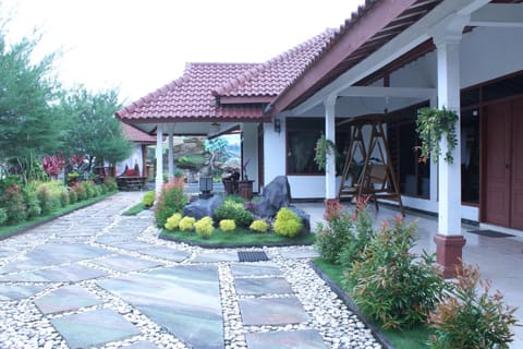 Balcony/Terrace, Garden view