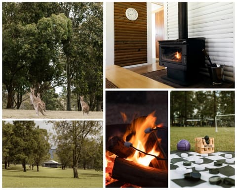Property building, Activities