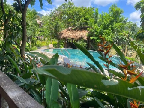 Pool view, Swimming pool