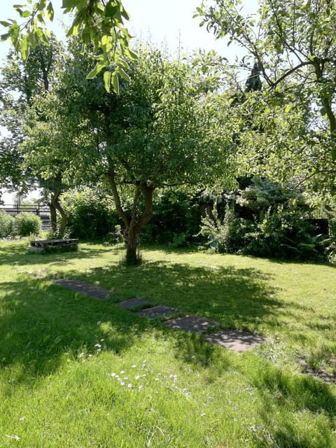 Hostel Mamas & Papas Hostel in Gdansk