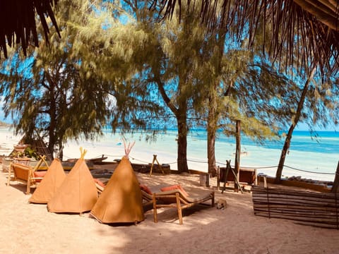 Beach, Sea view, sunbed