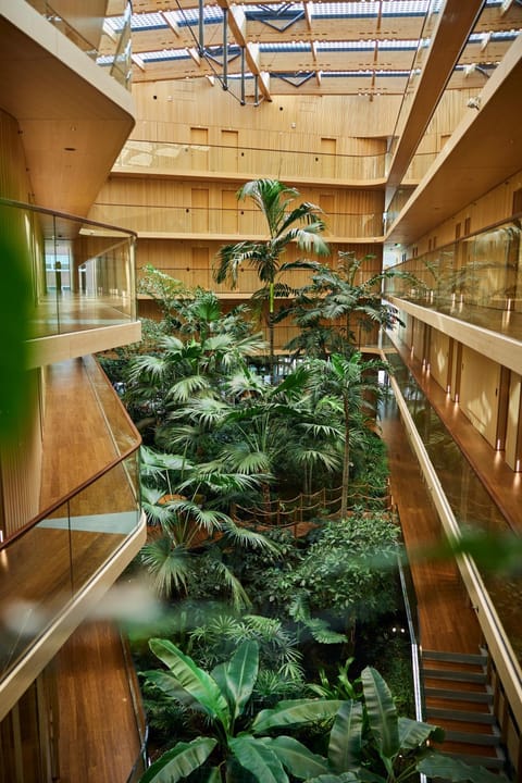 Bird's eye view, Garden view