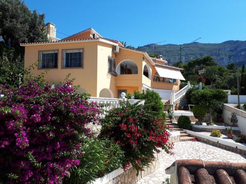 Property view