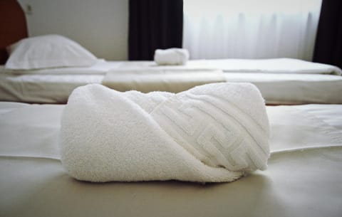 Pension Delia Gardens Bed and Breakfast in Timisoara