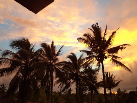 Natural landscape, Sunset