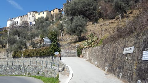 Garden view, Street view