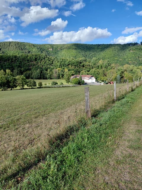 Gut Kallerbend Apartment in Rhineland-Palatinate