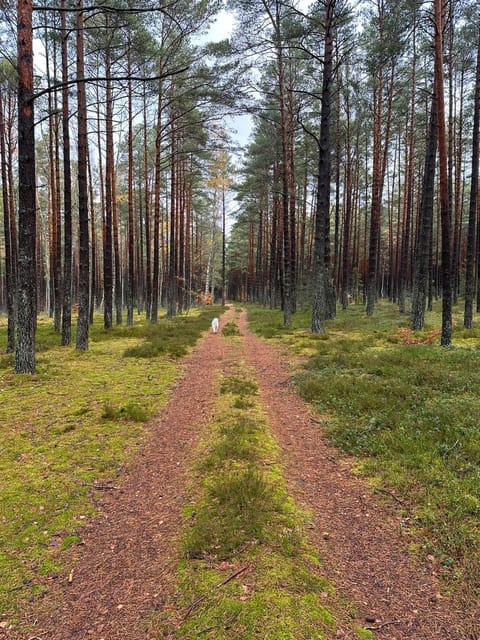 Domki Skandynawskie Kopalino House in Pomeranian Voivodeship