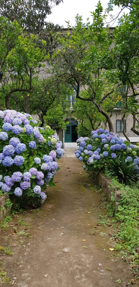 Property building, Facade/entrance, Natural landscape, Garden, Garden view