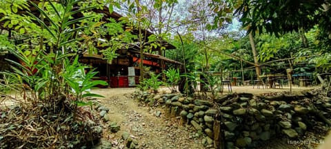 Property building, Spring, Day, Natural landscape, Garden, Garden view
