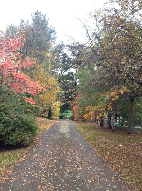 Crabtree House Bed and Breakfast in Tasmania