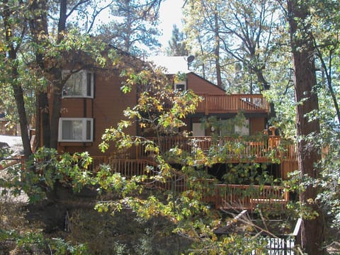 Property building, Day, Natural landscape