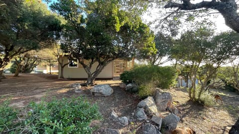 Camping Trinité Campground/
RV Resort in Bonifacio