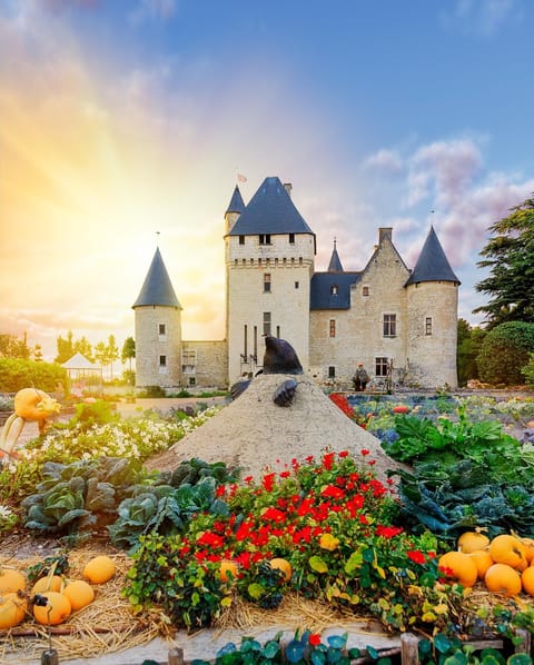 Neighbourhood, Natural landscape, Autumn, On site, Sunrise