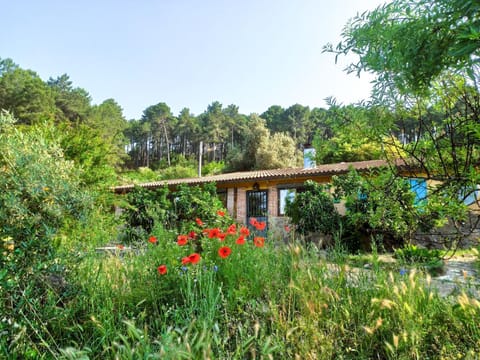 Property building, Facade/entrance, Garden