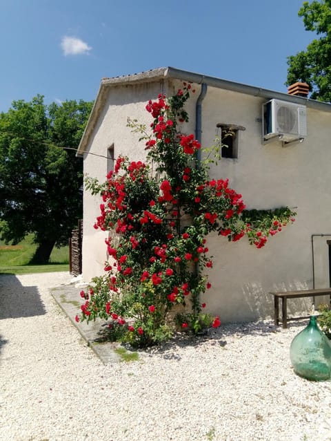 Property building, Spring, Day