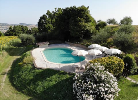 Day, Garden, Pool view, Swimming pool, sunbed