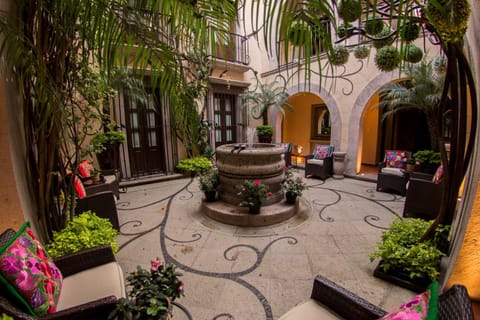 Patio, Garden, Inner courtyard view