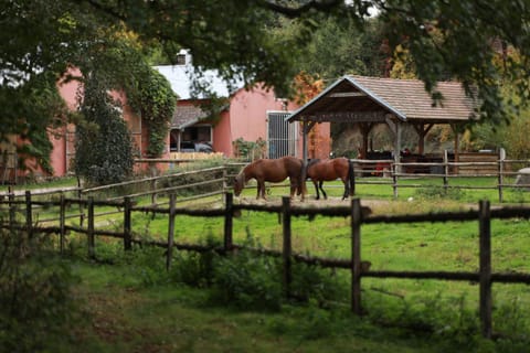 Property building, Garden, Animals, Area and facilities
