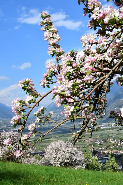 Natural landscape, Hiking