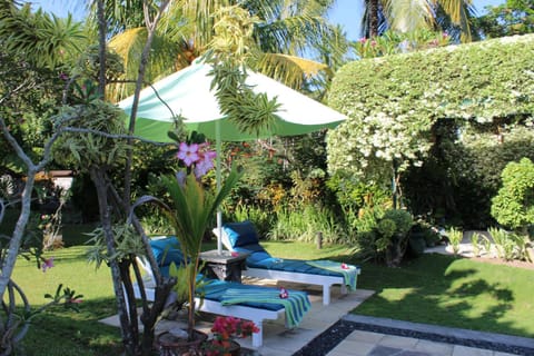 Day, Garden, Pool view, Swimming pool, sunbed