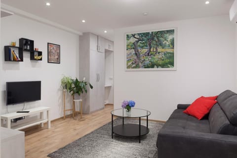 Living room, Photo of the whole room, Seating area