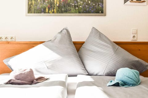 Appartements Schwarzer Adler Apartment in Tyrol