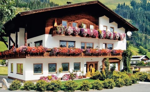 Appartements Schwarzer Adler Apartment in Tyrol