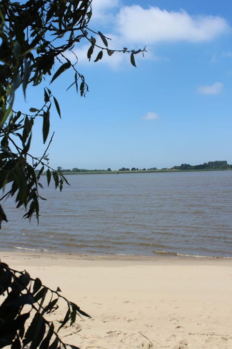 Off site, Summer, Beach