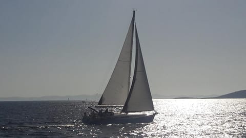 Apartment Josip Apartment in Murter