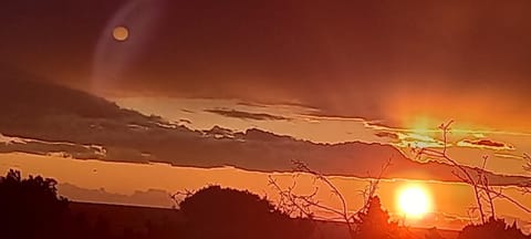 Vila POGLED Apartment in Montenegro