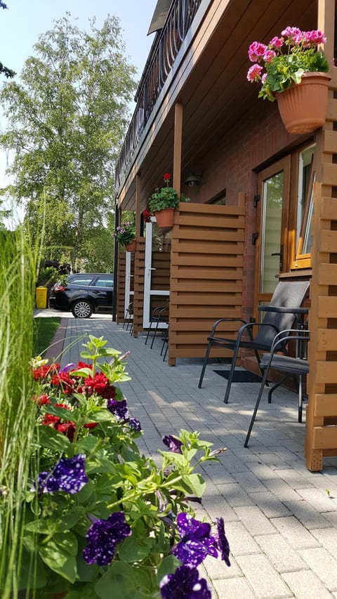 Žuvėdrų kiemelis Apartment in Palanga