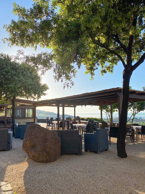 Patio, Restaurant/places to eat, Day, Natural landscape, Banquet/Function facilities