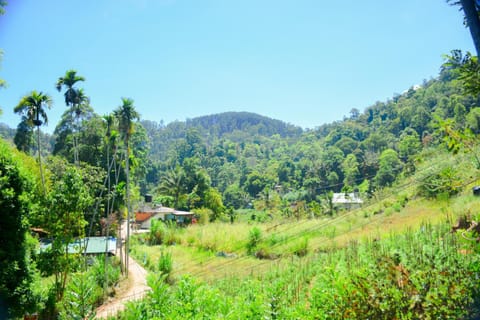 Natural landscape, Hiking, Garden view