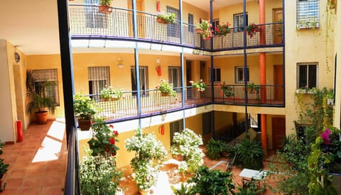 Day, Balcony/Terrace