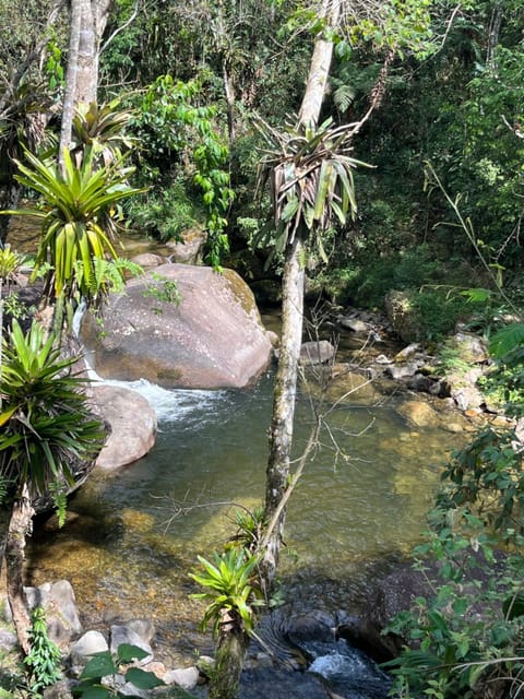 Day, Natural landscape, River view