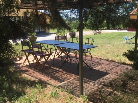 Other, Area and facilities