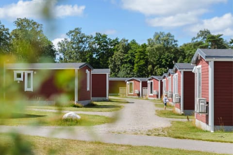 Area and facilities