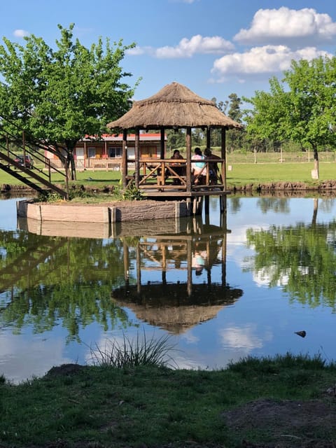 Natural landscape, Lake view