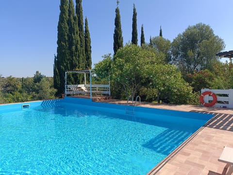 Garden, Pool view, Swimming pool, sunbed