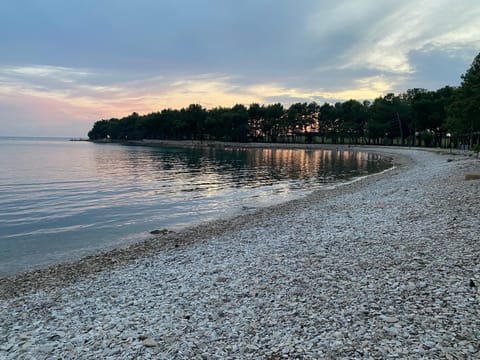 Apartements Sarah Apartment in Novigrad