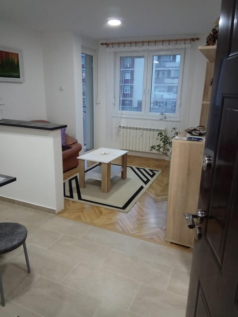 Apartman Ana Apartment in Vojvodina