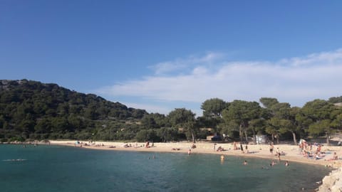 Apartments Josip Apartment in Murter