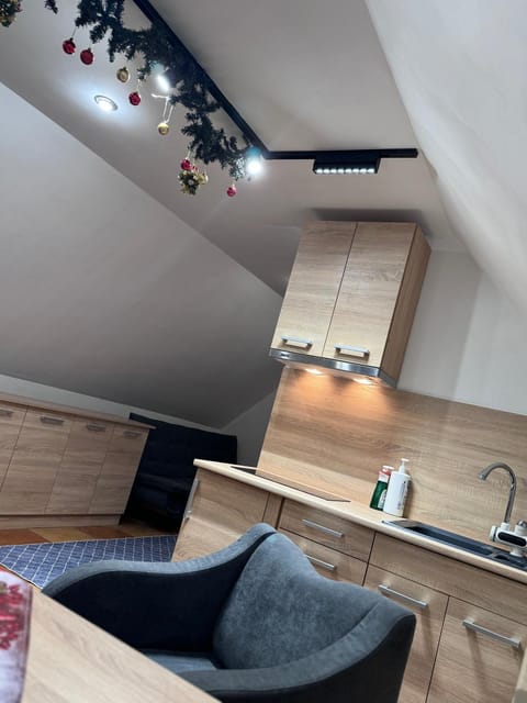 Kitchen or kitchenette, Dining area, stove
