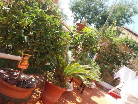 Canoa Quebrada Apartment in La Spezia