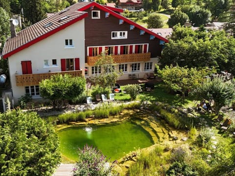 Property building, Garden, Swimming pool