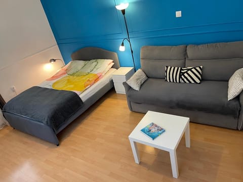 Bed, Living room, Photo of the whole room, Seating area, Bedroom